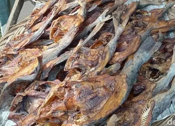 Ikan salai